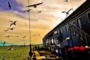 在线电话压力测试