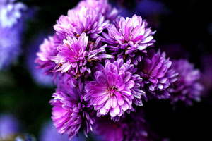 在线手机号测压